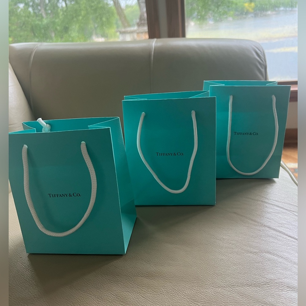 3 Tiffany & Co. bags (purchased jewelry from the Edina MN store)